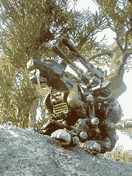 ���ް���ްDS�i����ٷ��݁j