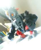  ��ׯ���ܲ��