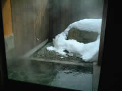 �����̘I�V���C