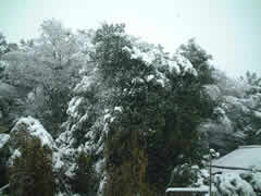 �߂����f���Ă݂���E�E�E