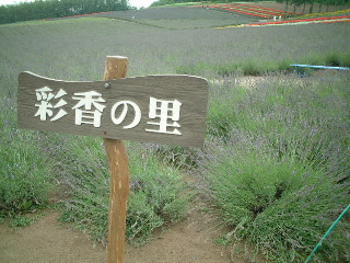 彩香の里