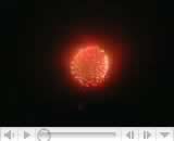 MPEG4テスト